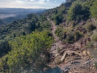 IMG_20250109_142056120_HDR