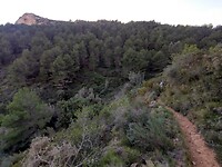 IMG_20250109_150259618_HDR