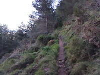 IMG_20250109_150449130