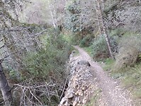 IMG_20250109_152003443