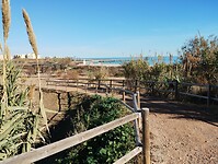 IMG_20250110_135330734
