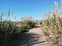 IMG_20250110_135633170