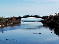 IMG_20250110_140021497