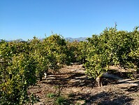 IMG_20250110_141017946_HDR