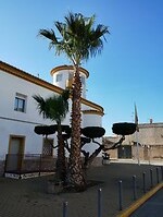 IMG_20250110_143439035