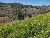 IMG_20250111_140318553_HDR