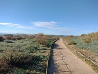 IMG_20250112_104931980_HDR