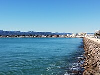 IMG_20250112_142255108