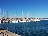 IMG_20250112_142405568