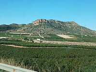 IMG_20250114_102302104