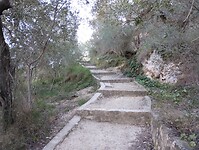 IMG_20250114_125505085