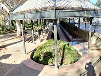 IMG_20250114_141002472_HDR