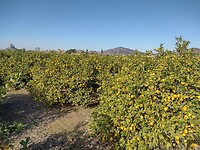 IMG_20250115_111833468_HDR