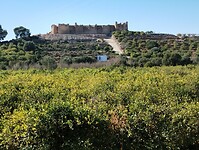IMG_20250115_132641673