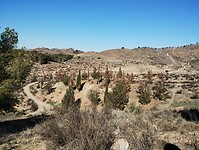 IMG_20250115_133556695
