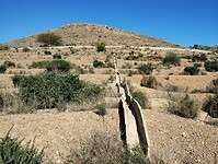 IMG_20250115_135243347
