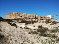 IMG_20250115_141347970