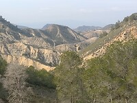IMG_20250116_143123762