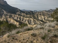 IMG_20250116_143355476_HDR