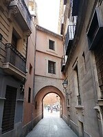 IMG_20250117_104519359