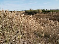 IMG_20250118_133904746