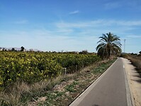 IMG_20250118_134544847