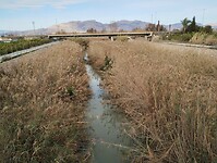 IMG_20250118_145033045