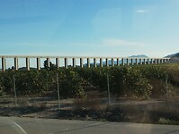 IMG_20250119_095841611