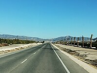 IMG_20250119_100228438