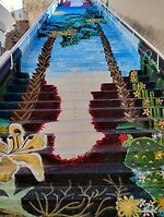 IMG_20250119_104741161_HDR
