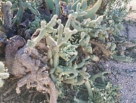 IMG_20250119_105053962