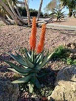 IMG_20250119_105225523_HDR