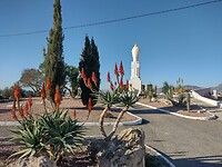 IMG_20250119_105232295_HDR