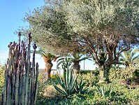IMG_20250119_154353710_HDR