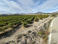 IMG_20250120_143943767_HDR