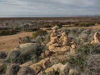 IMG_20250121_103749862_HDR