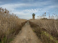 IMG_20250121_105424448_HDR