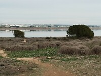 IMG_20250121_131802668