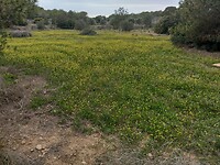 IMG_20250121_132939950_HDR