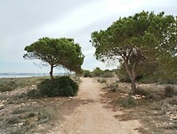 IMG_20250121_134042903