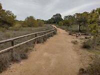 IMG_20250121_140848595_HDR