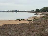 IMG_20250121_142148283