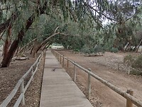 IMG_20250121_143729390_HDR