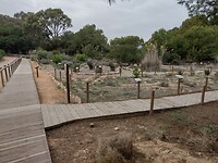 IMG_20250121_144252992_HDR
