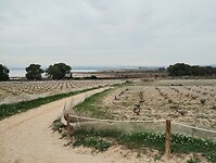 IMG_20250121_151953178