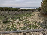 IMG_20250121_154041316_HDR