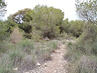 IMG_20250121_160031356