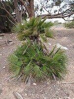 IMG_20250121_160146493