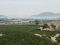 IMG_20250122_105823067