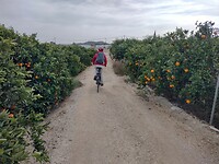 IMG_20250122_154344288_HDR